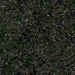 cambrianblack.jpg (32750 bytes)